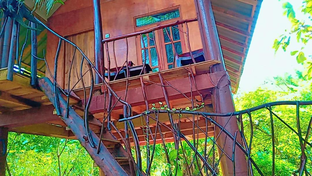 Sigiri Aliya Tree House Hotel Sigiriya Luaran gambar